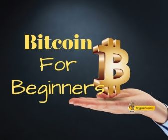 Bitcoin For Beginners - Okzoa